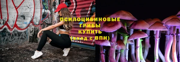прущая мука Краснослободск