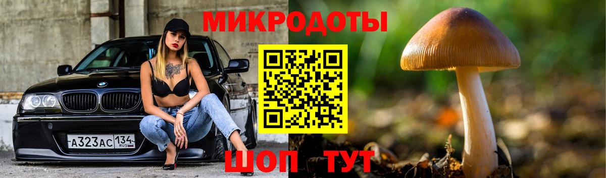 Галлюциногенные грибы Cubensis  Псилоцибиновые грибы GOLDEN TEACHER  Тутаев 