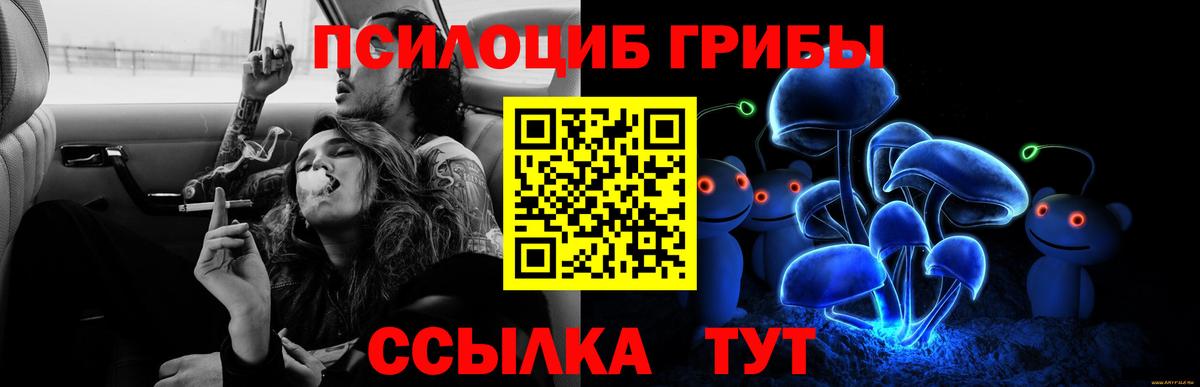 Тутаев  Галлюциногенные грибы Magic Shrooms  что такое   Вход с VPN 